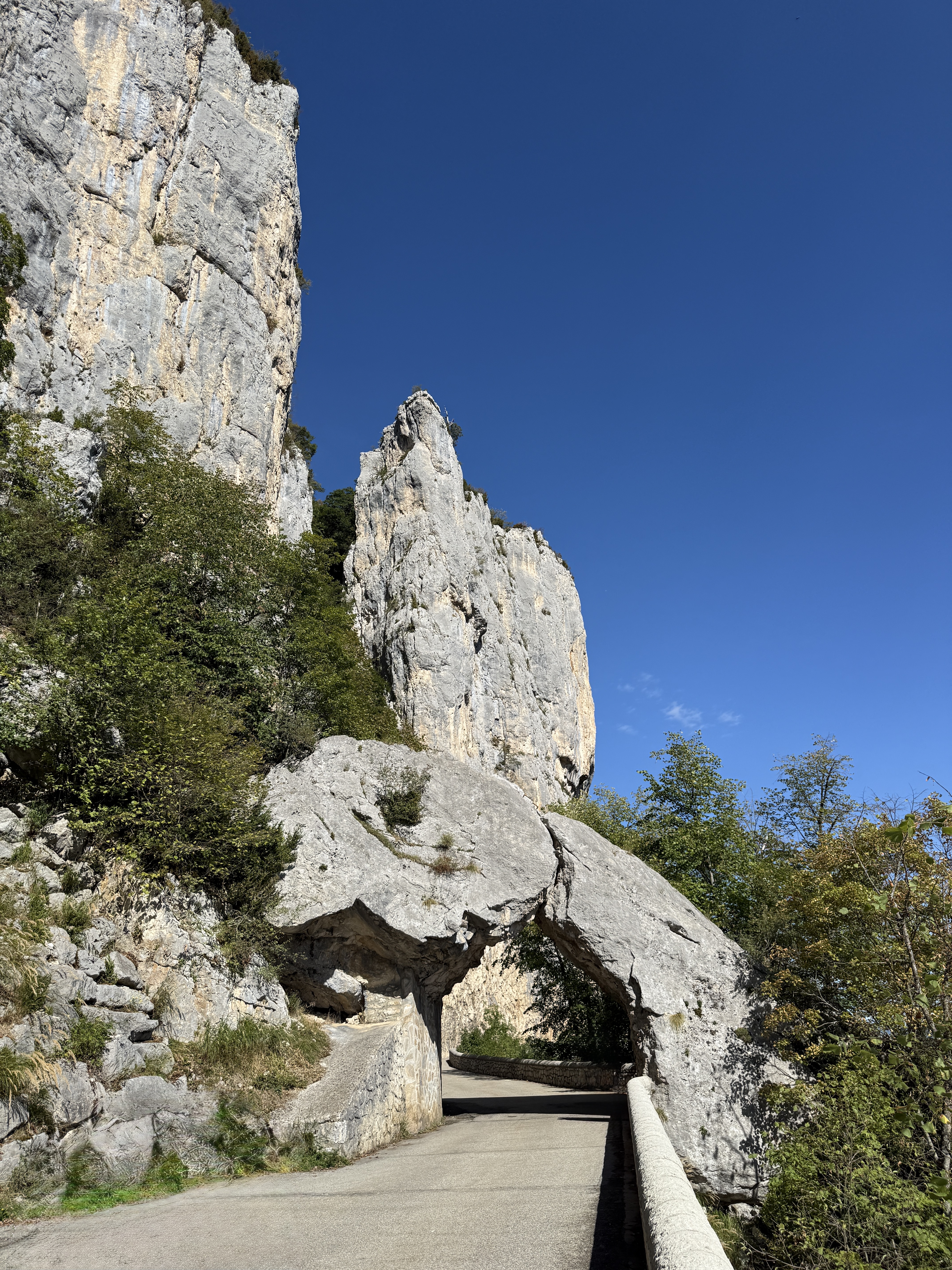 Day 3 Image 12